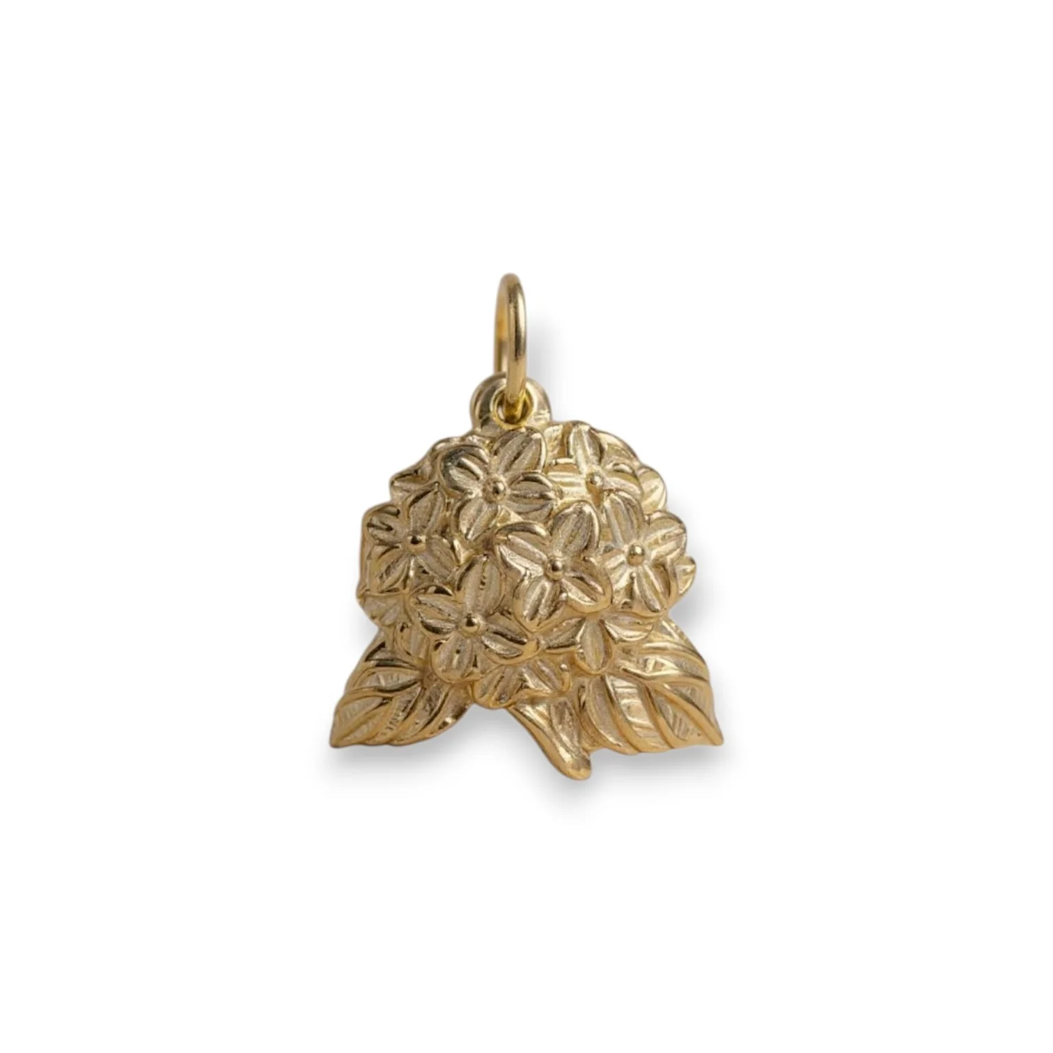 Hydrangea Charm