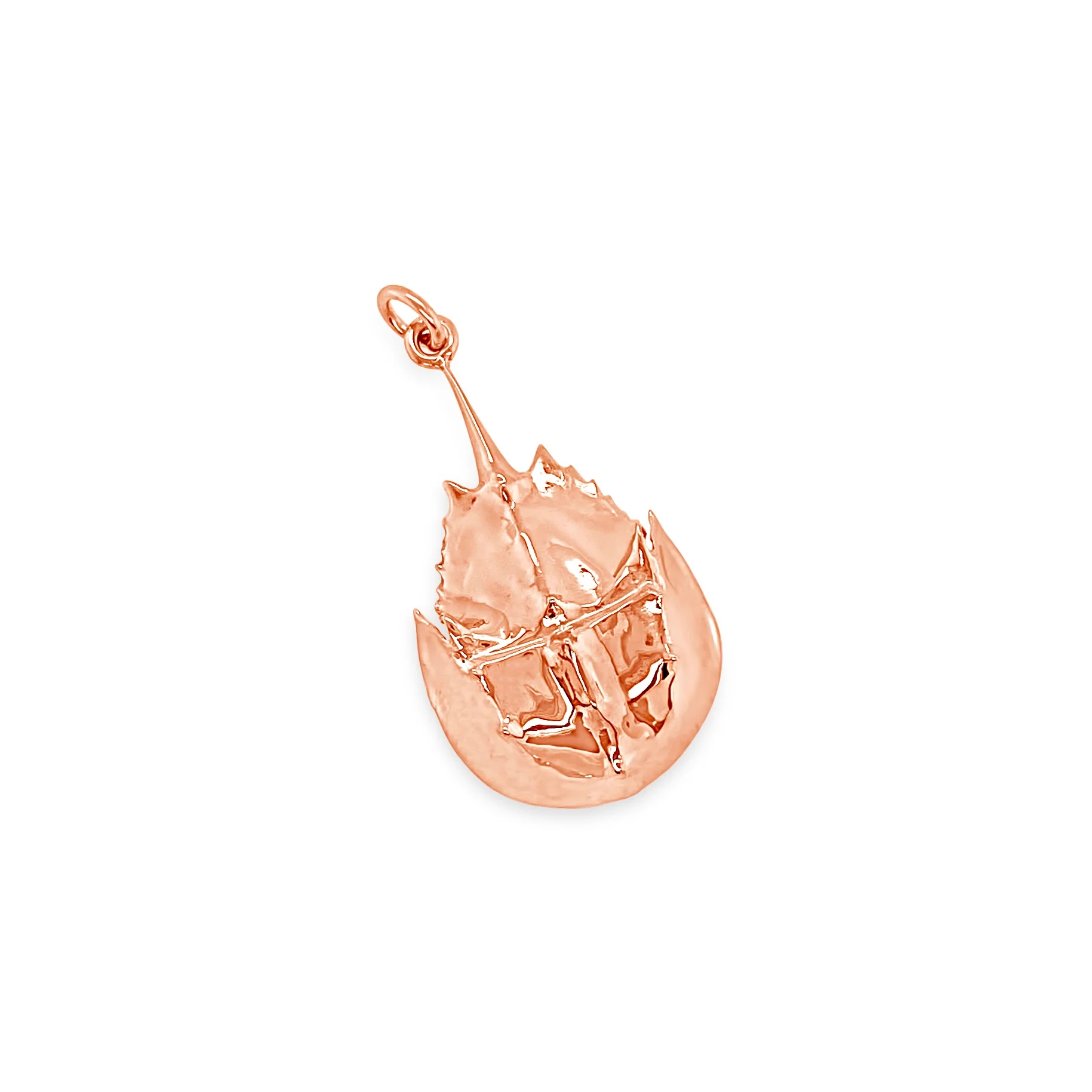 Large Horseshoe Crab Pendant - Image 5