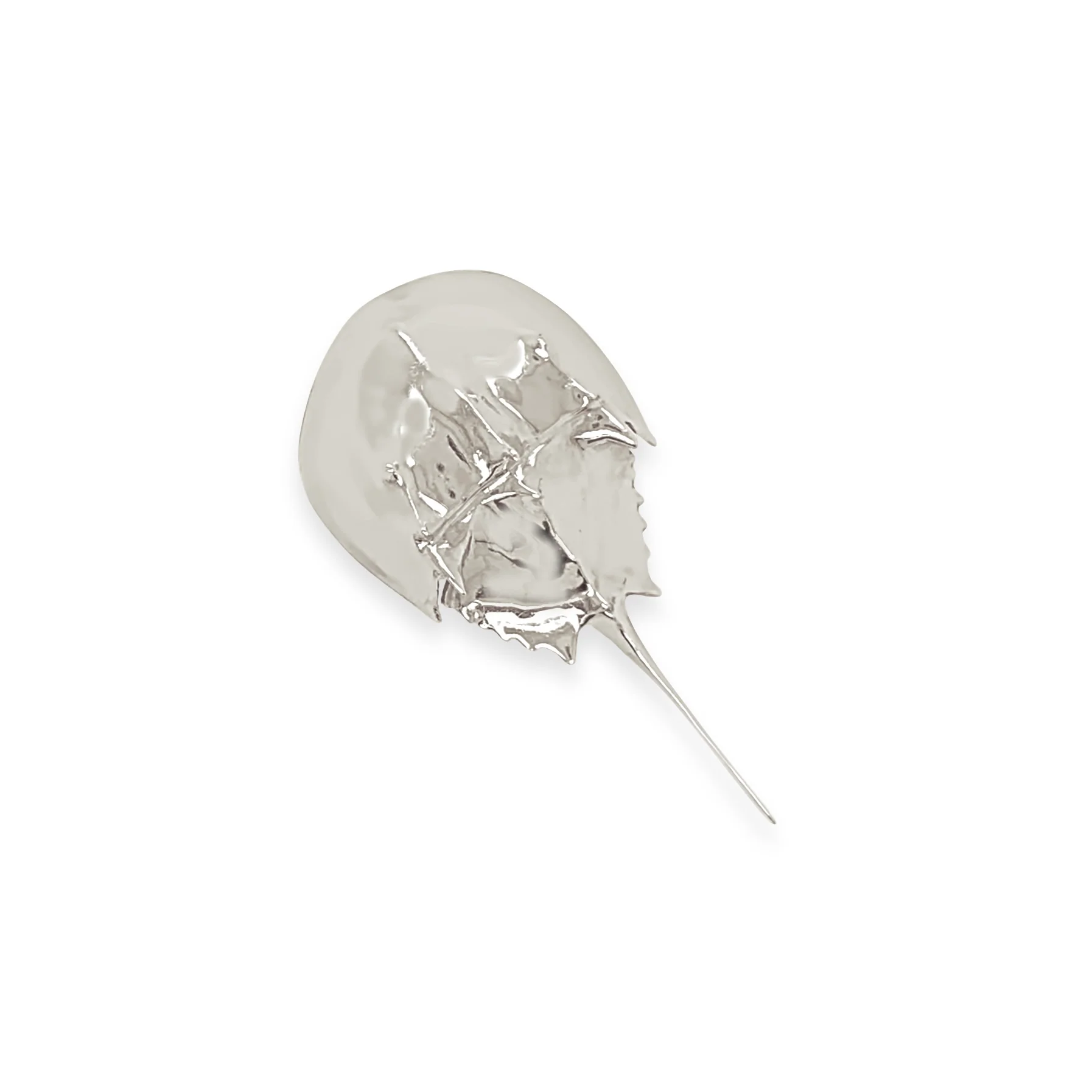 Large Horseshoe Crab Pin-Pendant - Image 4