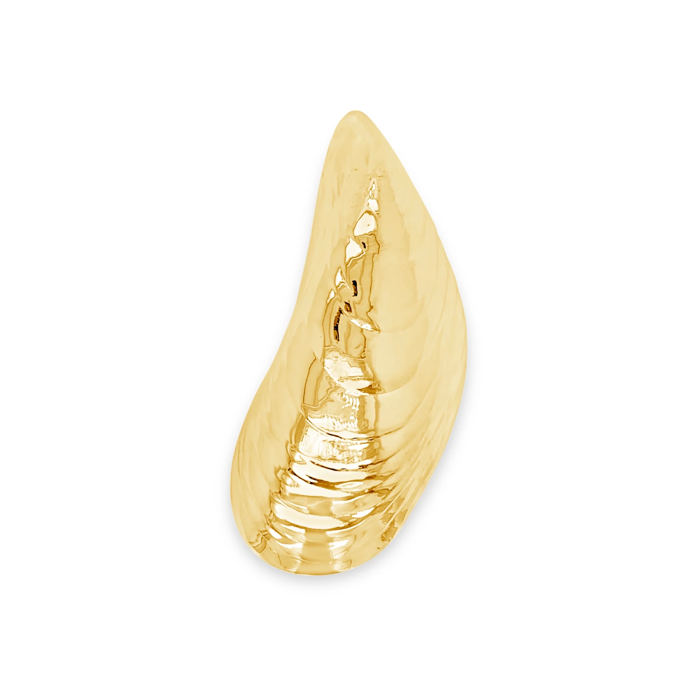 Large Mussel Shell Pin - Image 2