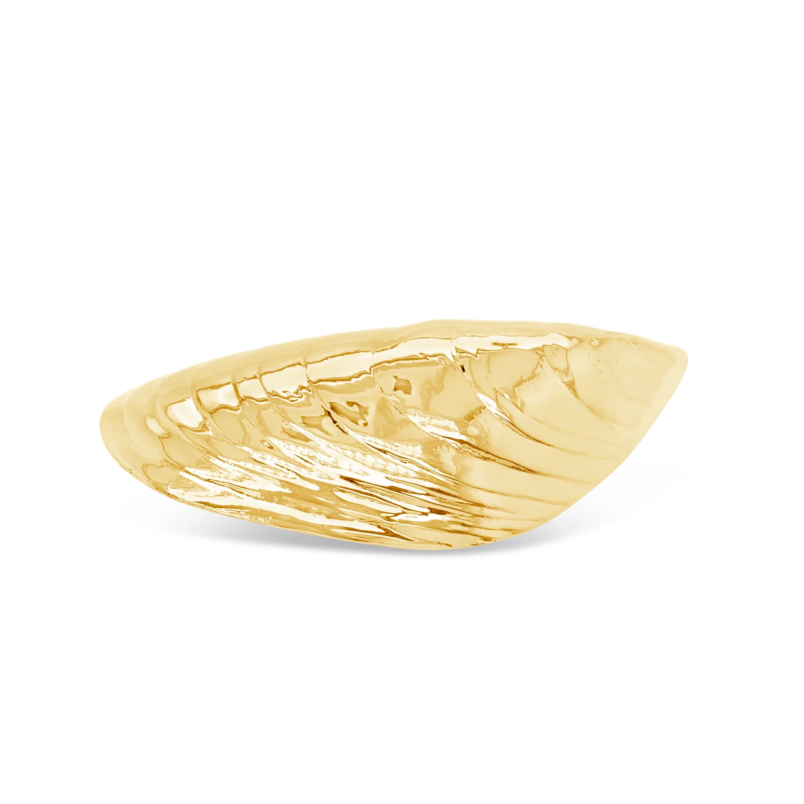 Large Mussel Shell Pin - Image 3
