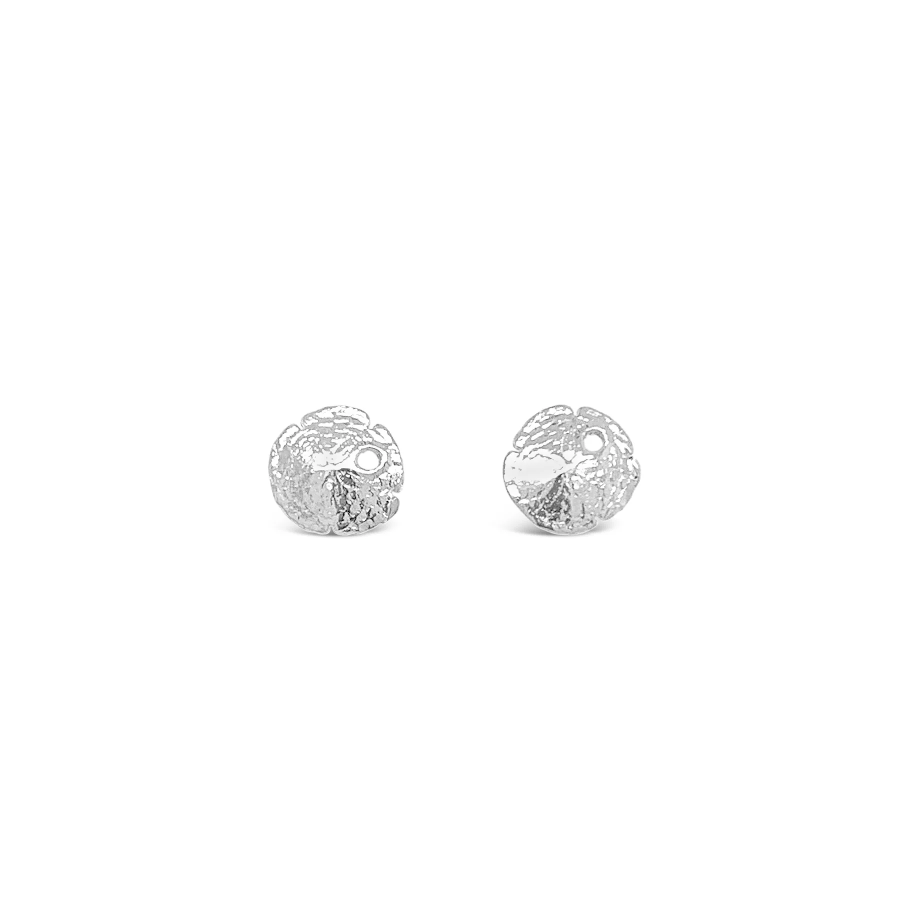 Petite Sand Dollar Earrings - Image 2