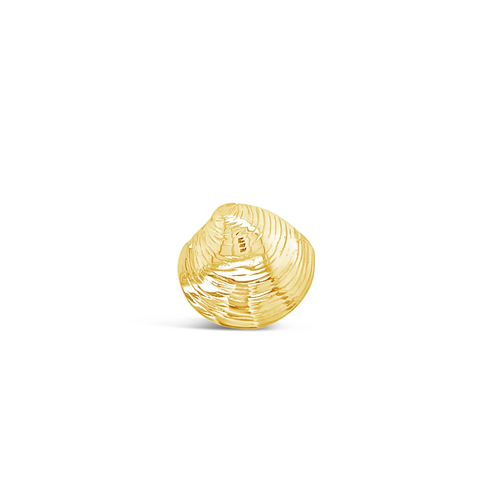 Quahog Shell Pendant