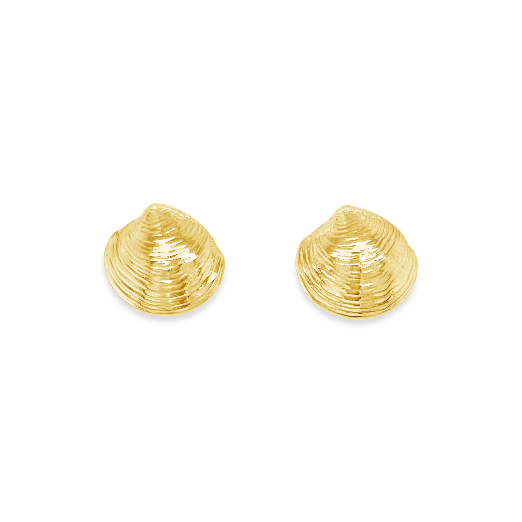 Quahog Shell Stud Earrings