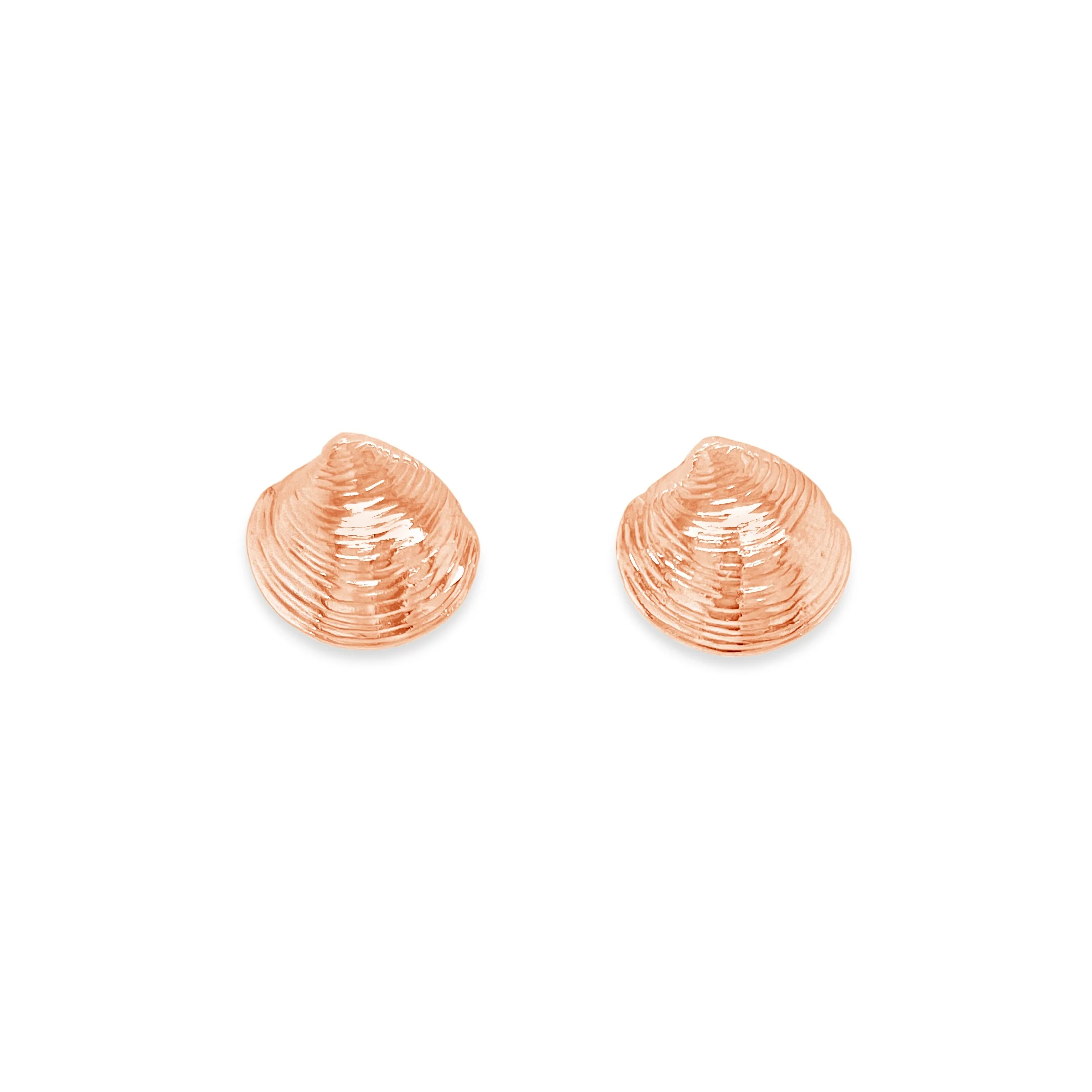 Quahog Shell Stud Earrings - Image 3