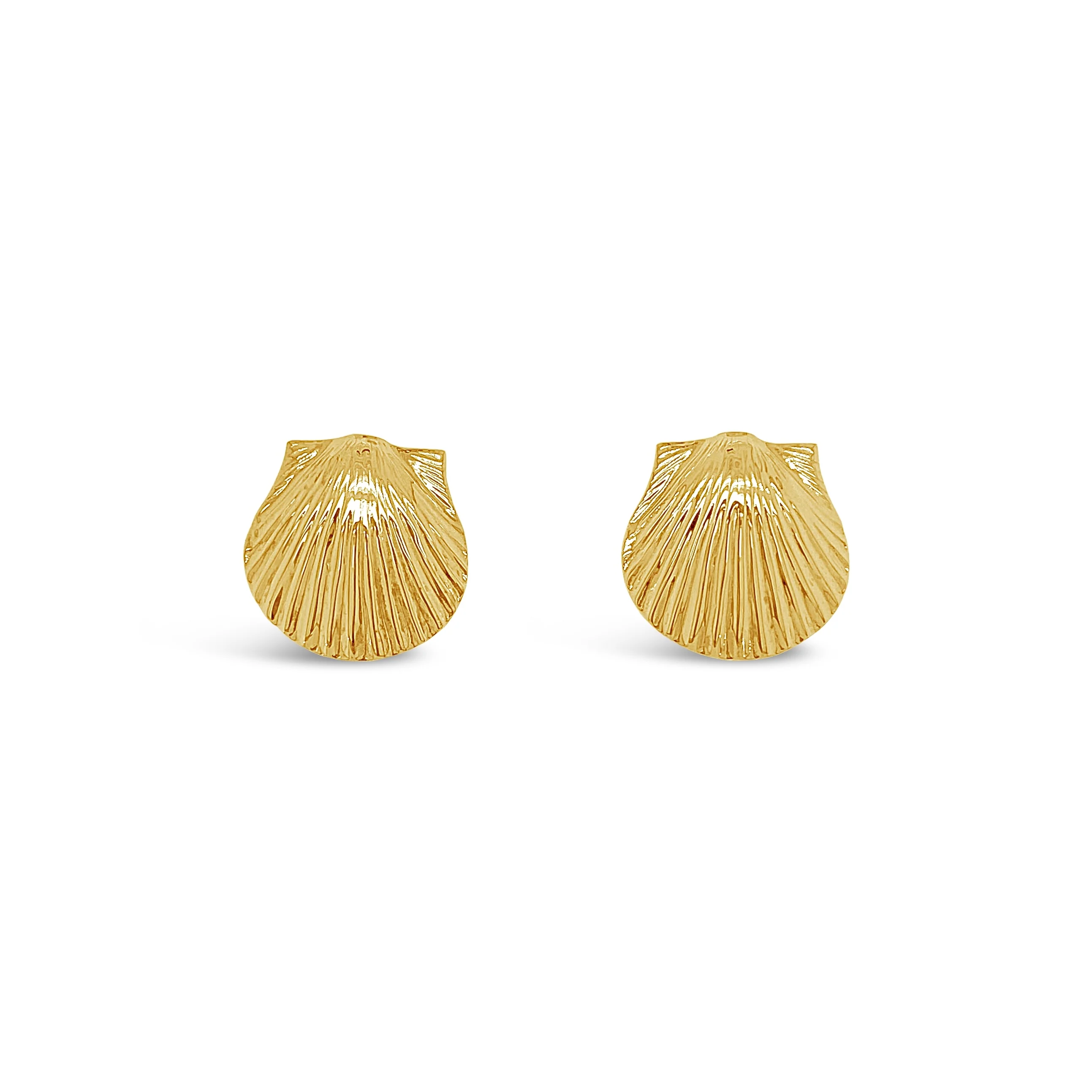 Scallop Shell Stud Earrings