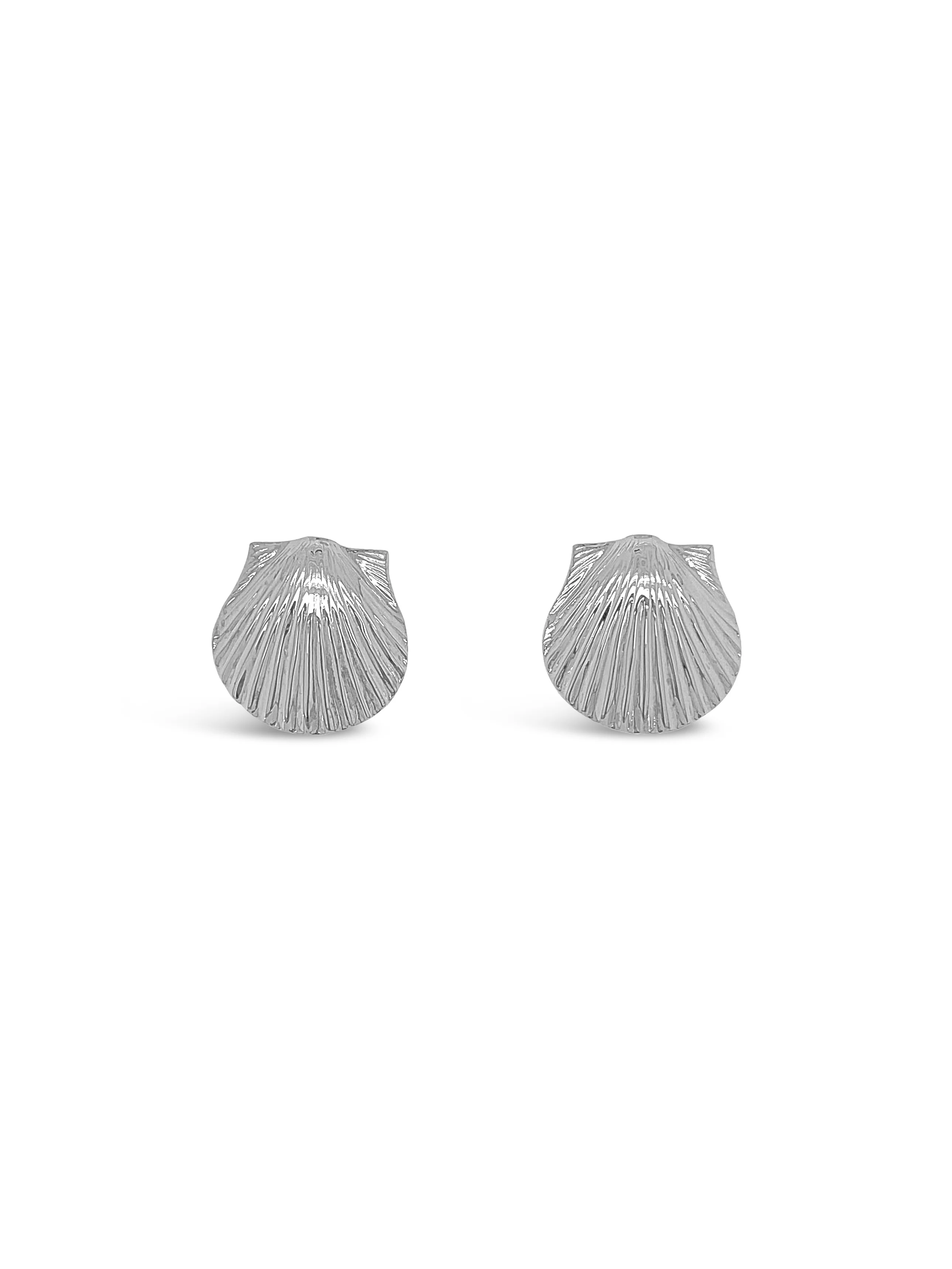 Scallop Shell Stud Earrings - Image 2