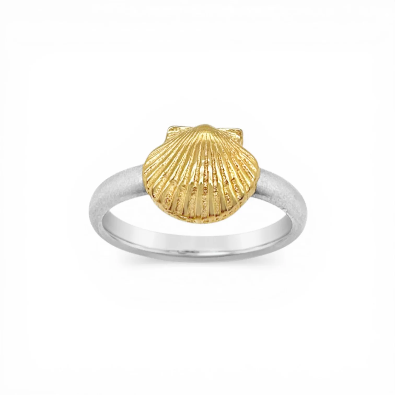 Single Satin Scallop Shell Ring