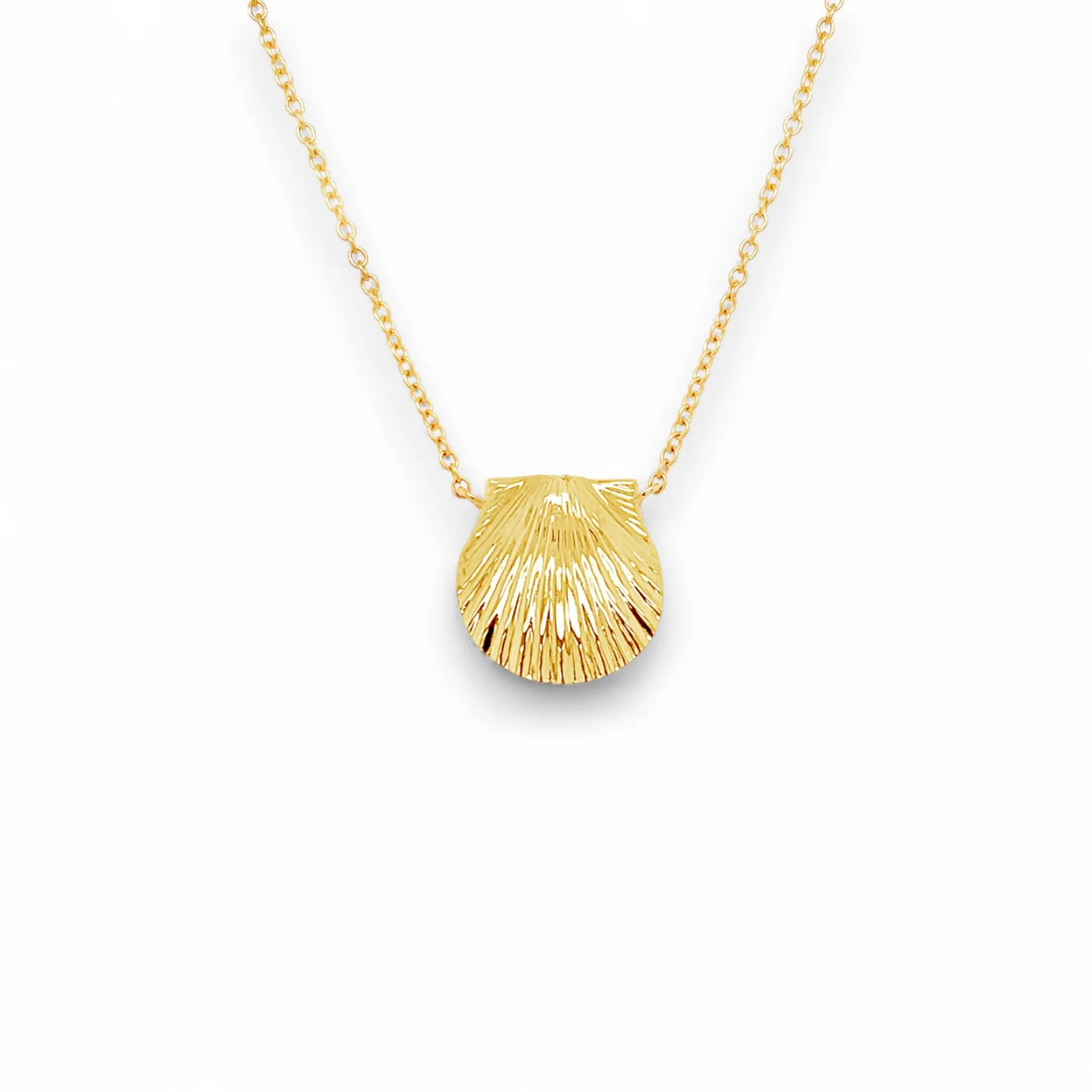 Single Scallop Shell Necklace