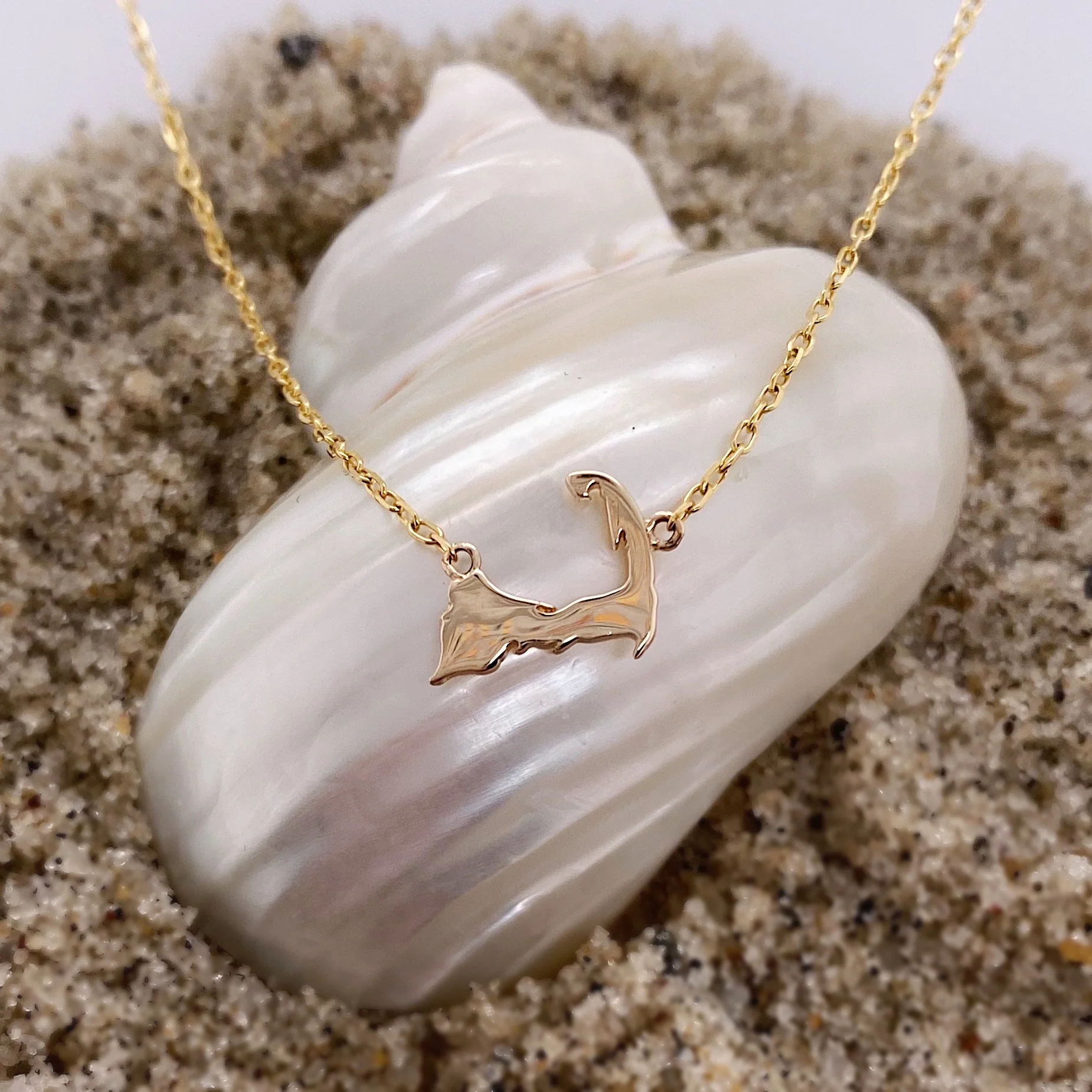 Tiny Cape Cod Map Necklace - Image 4