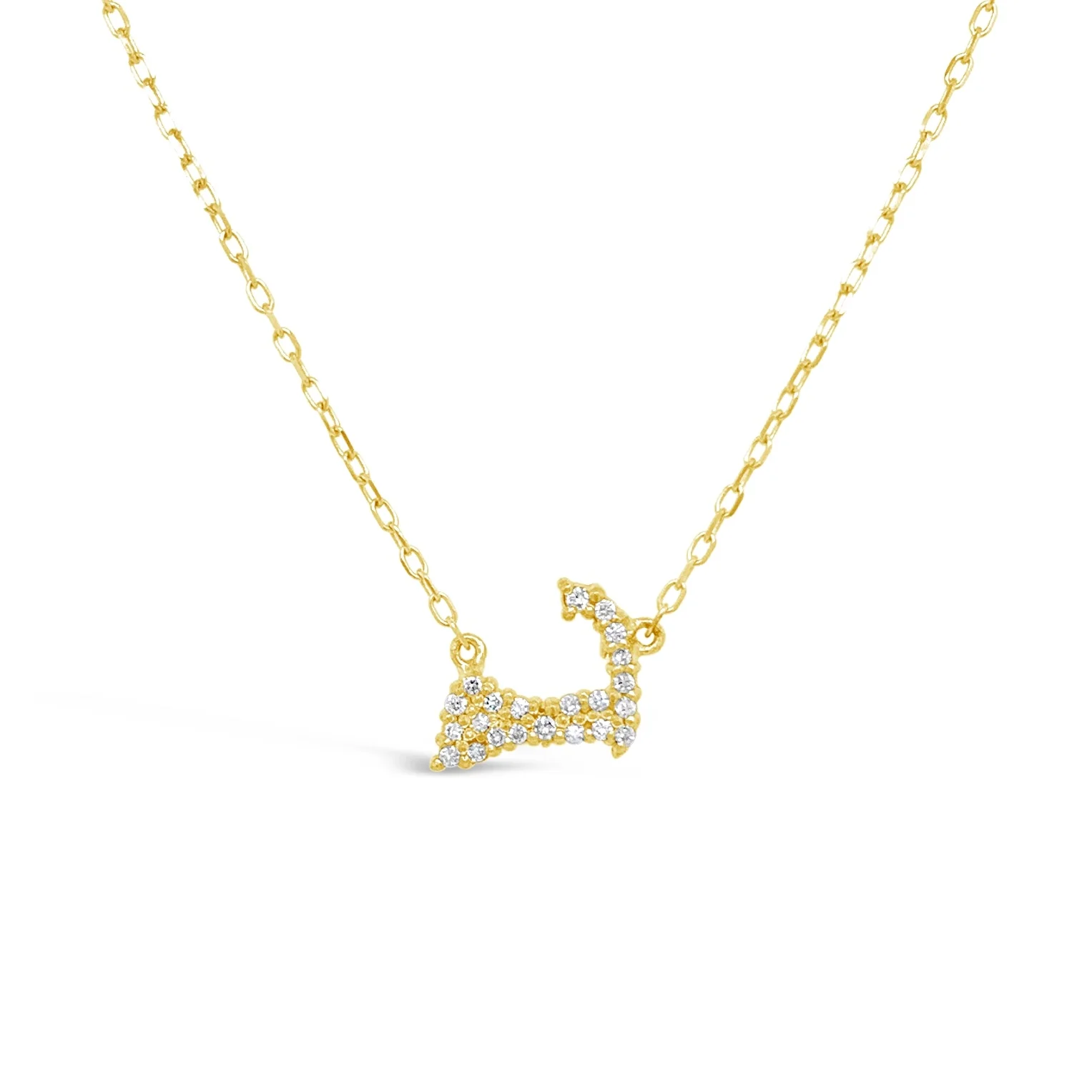 Tiny Diamond Cape Cod Map Necklace