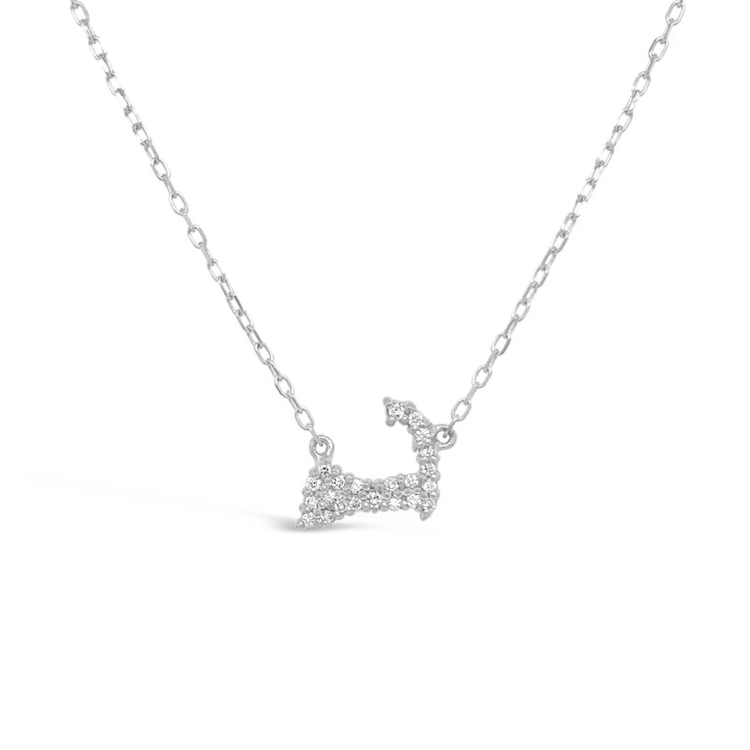 Tiny Diamond Cape Cod Map Necklace - Image 2