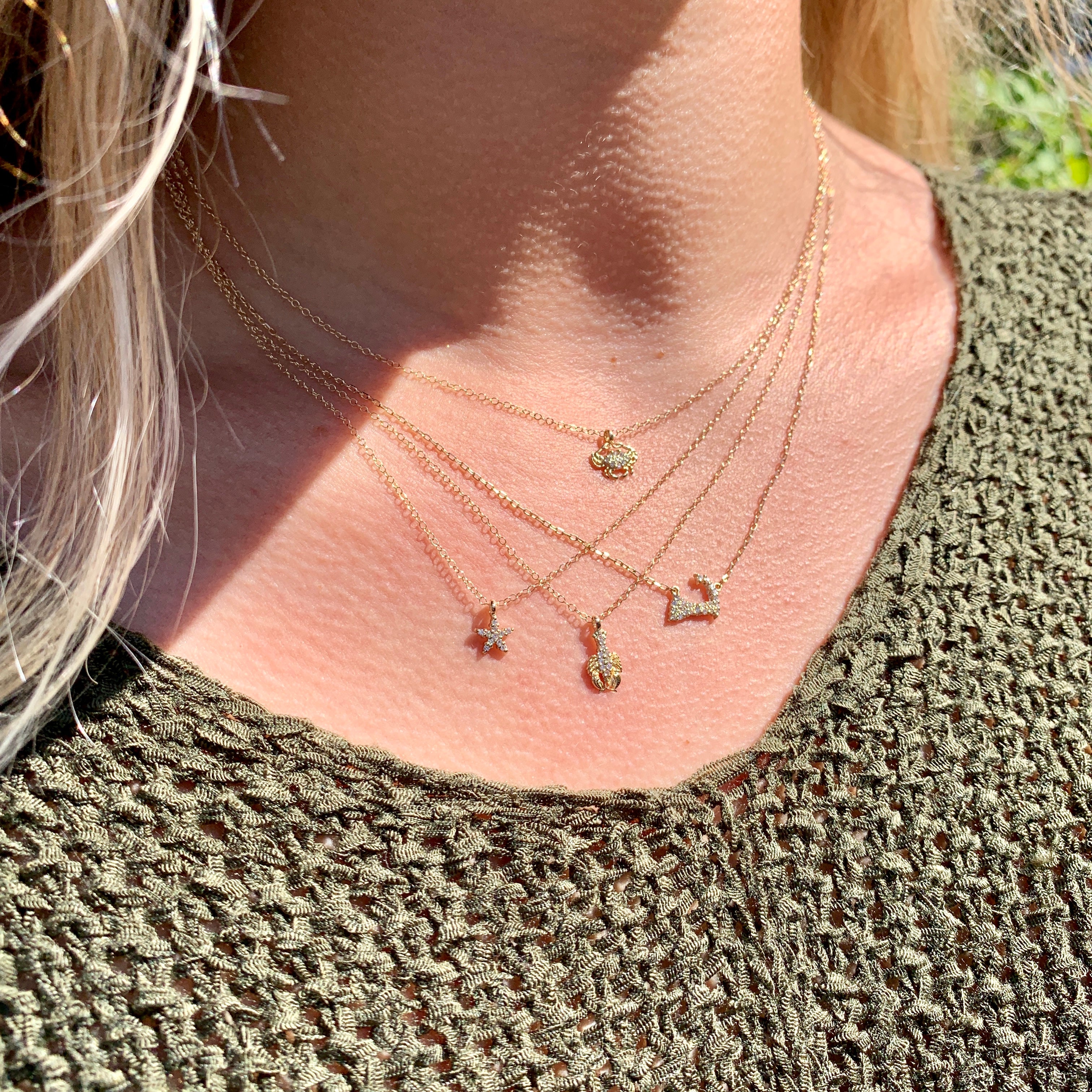 Tiny Diamond Cape Cod Map Necklace - Image 3