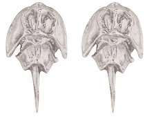 Tiny Horseshoe Crab Stud Earrings - Image 2
