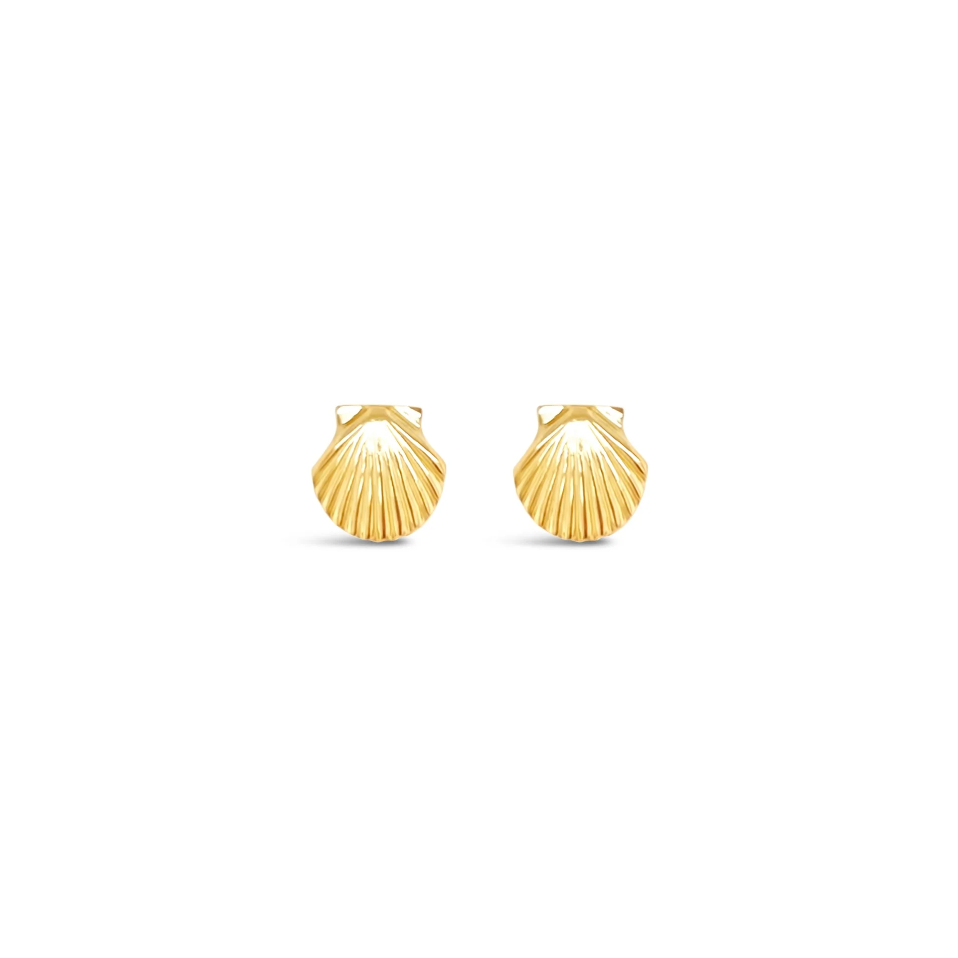 Tiny Scallop Shell Stud Earrings - Image 2